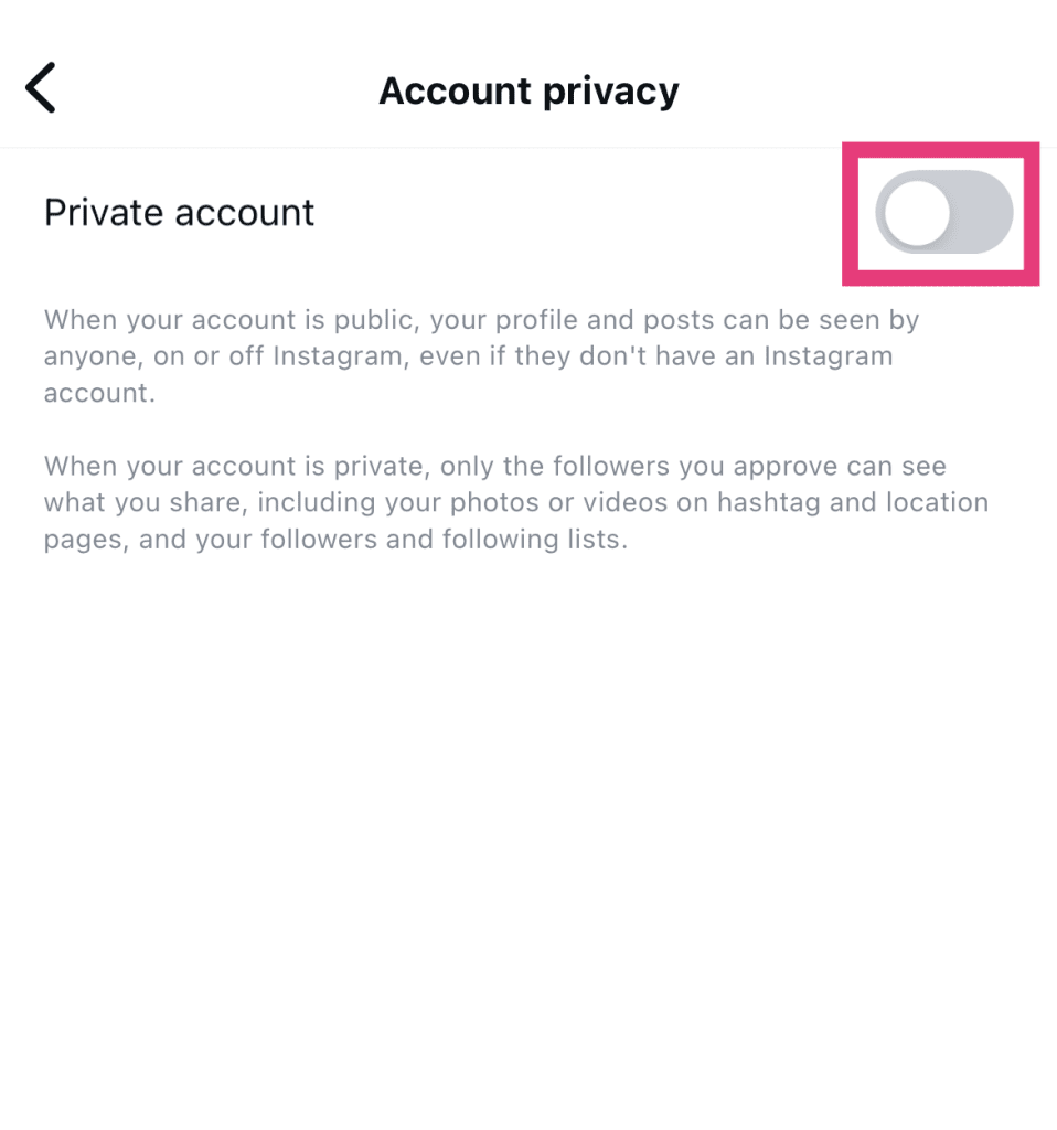 Priv-IG-Viewer-02-958x1024.png